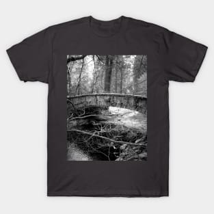 Over the River... T-Shirt